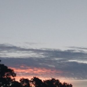 Meet your Posher, Deborah ann